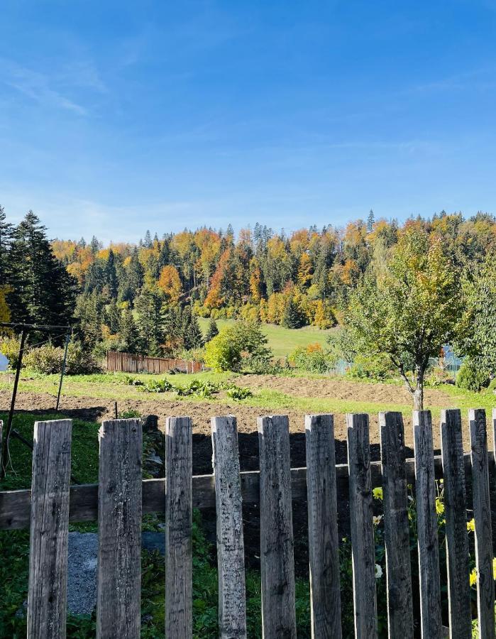 Rozpravkovy Domcek Zvoncek Villa Доновали Екстериор снимка