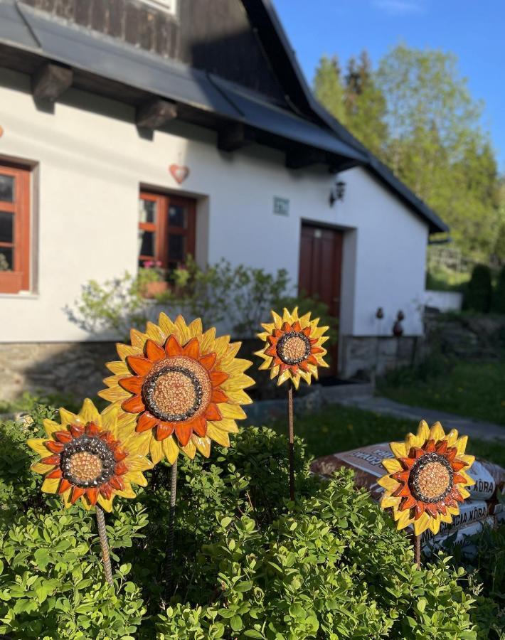 Rozpravkovy Domcek Zvoncek Villa Доновали Екстериор снимка