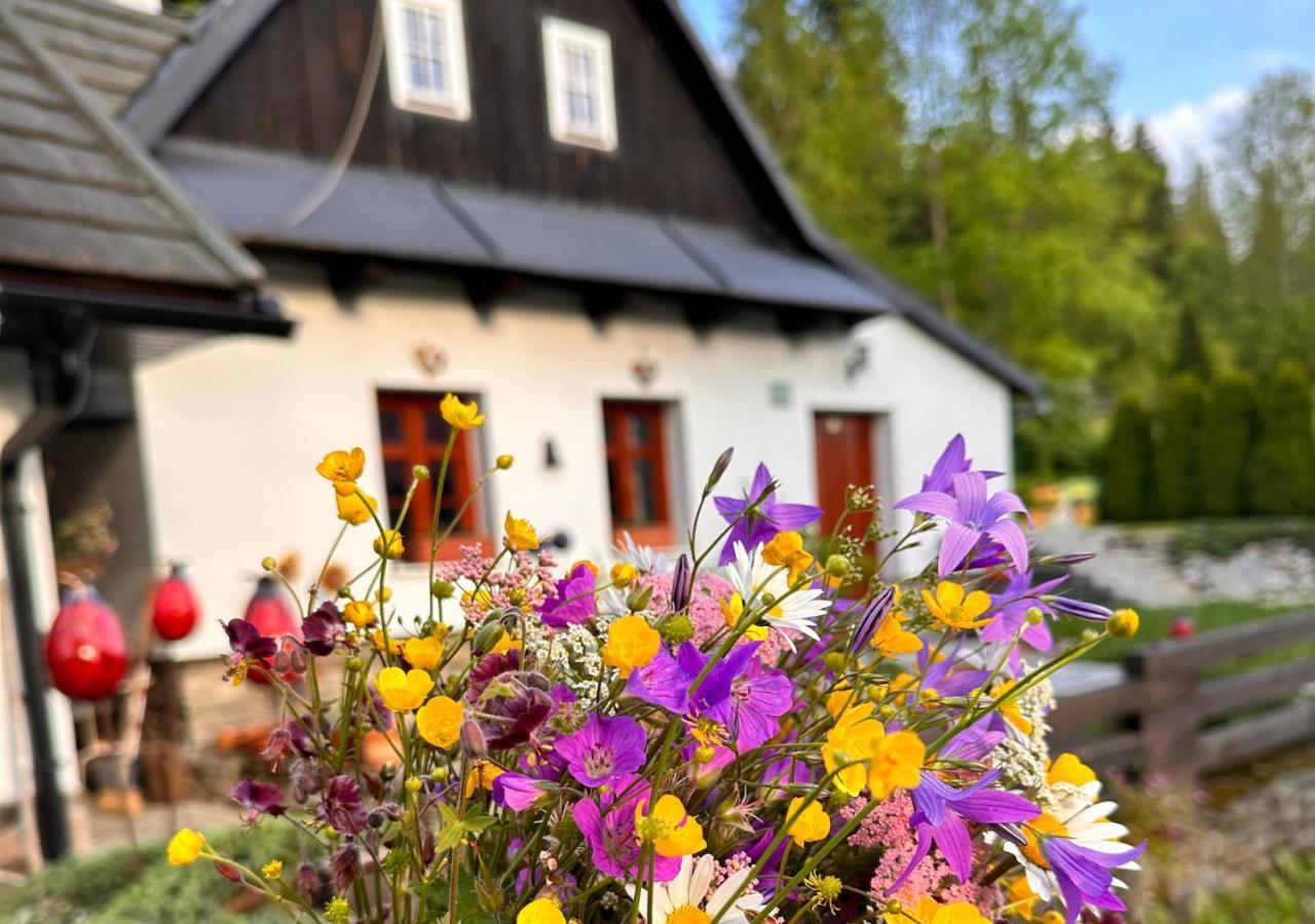 Rozpravkovy Domcek Zvoncek Villa Доновали Екстериор снимка