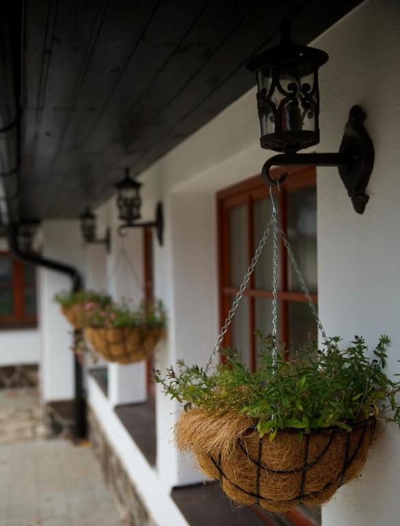 Rozpravkovy Domcek Zvoncek Villa Доновали Екстериор снимка